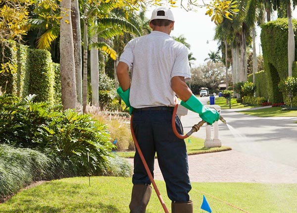 About Rockport KY Pest Control